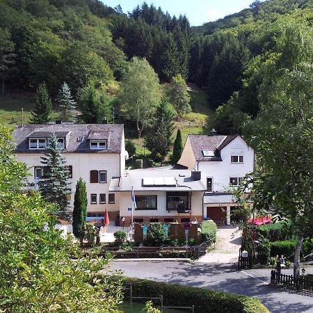 Ferien Und Selbstversorgerhaus Fuer Gruppen Sauerthaler Hof - Loreley מראה חיצוני תמונה